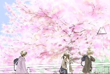 一女子打扑克一直叫的视频